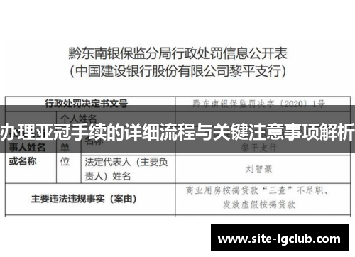 办理亚冠手续的详细流程与关键注意事项解析
