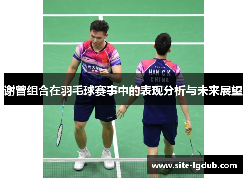谢曾组合在羽毛球赛事中的表现分析与未来展望