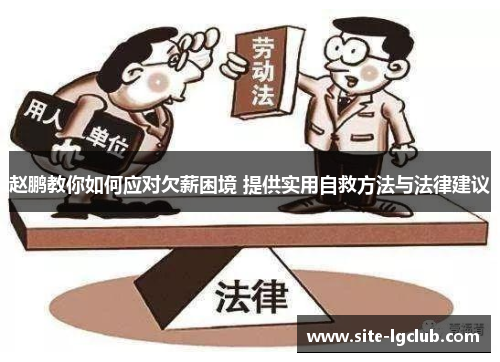 赵鹏教你如何应对欠薪困境 提供实用自救方法与法律建议