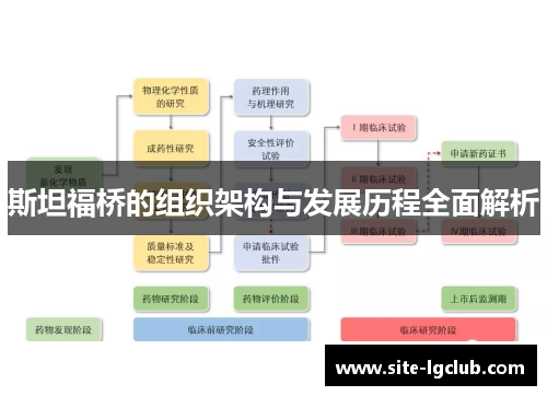 斯坦福桥的组织架构与发展历程全面解析