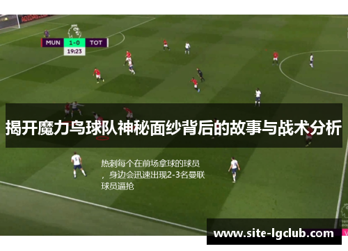 揭开魔力鸟球队神秘面纱背后的故事与战术分析