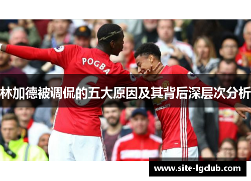 林加德被调侃的五大原因及其背后深层次分析