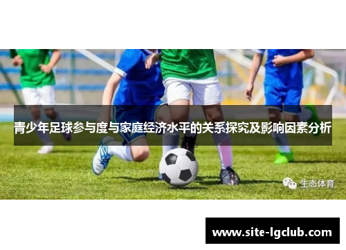青少年足球参与度与家庭经济水平的关系探究及影响因素分析