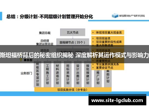 斯坦福桥背后的秘密组织揭秘 深度解析其运作模式与影响力