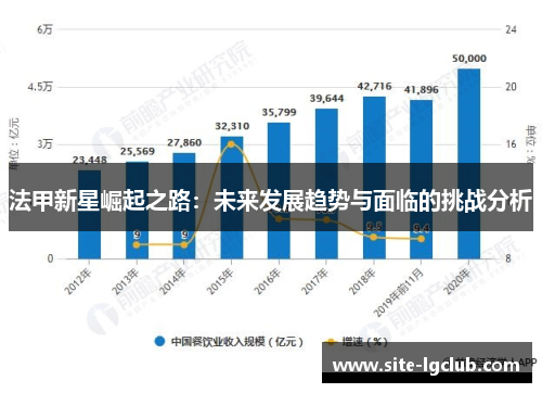 法甲新星崛起之路：未来发展趋势与面临的挑战分析